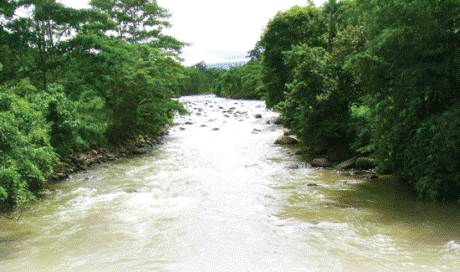 Sungai Sawang (Medan Bisnis/Sugito Tassan)
