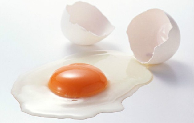Ilustrasi putih telur