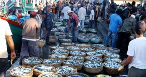 Harga Ikan Masih ‘Melambung’ di Banda Aceh