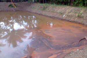 Pentingnya Kolam Labuh Bagi Kampung Nelayan