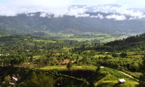 Pemandangan dari atas Kedah (leuserview.blogspot.com)