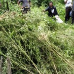 Peringati Hari Anti Narkoba Internasional, BNN Langsa Gelar Pagelaran Seni Aceh