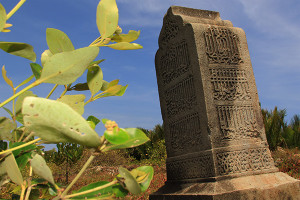 Batu nisan bertipologi Kesultanan Samudra Pasai makam Syaikh Tuan Kamil wafat tahun 930 Hijriyah (Foto M Iqbal/SeputarAceh.com)