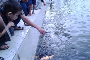 Memancing ikan di kolam Masjid Raya