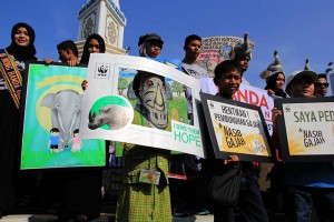 Sejumlah Komunitas dan anak-anak sekolah melakukan aksi Global Marching for Elephant, Rhino and Tiger di Simpang Lima, Banda Aceh. (Foto M Iqbal/SeputarAceh.com)