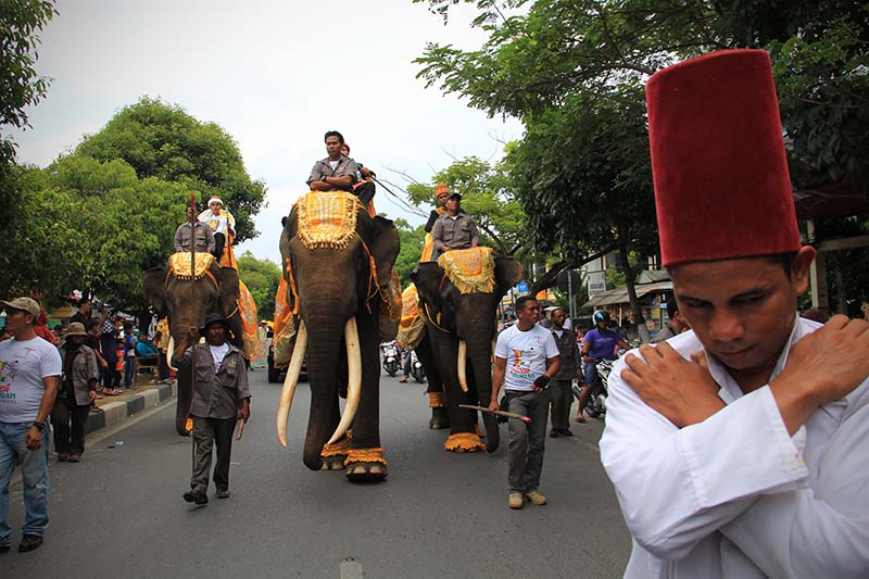 Sultan menunggangi Gajah meriahkan pawai 1 Muharram 1437 H, acara Aceh Hijriah Carnival, Banda Aceh (Foto M Iqbal/SeputarAceh.com)